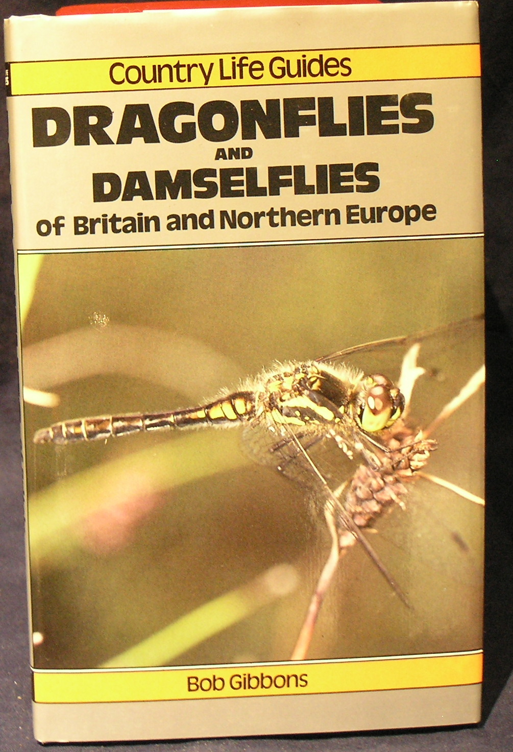 Image for Dragonflies and Damselflies of Britain and Northern Europe