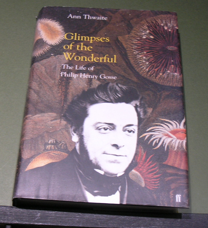 Glimpses of the Wonderful